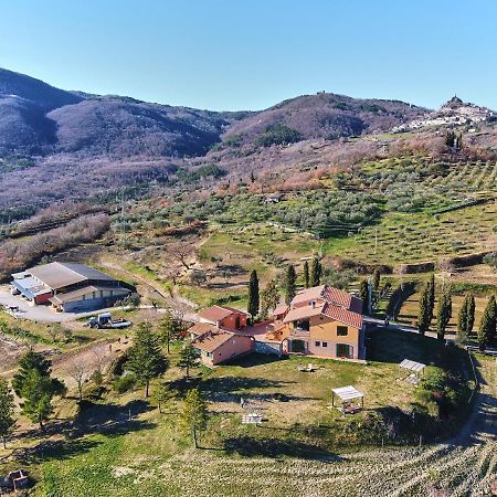 Az.Agr. Il Cavalleggero Campiglia dʼOrcia Exterior foto