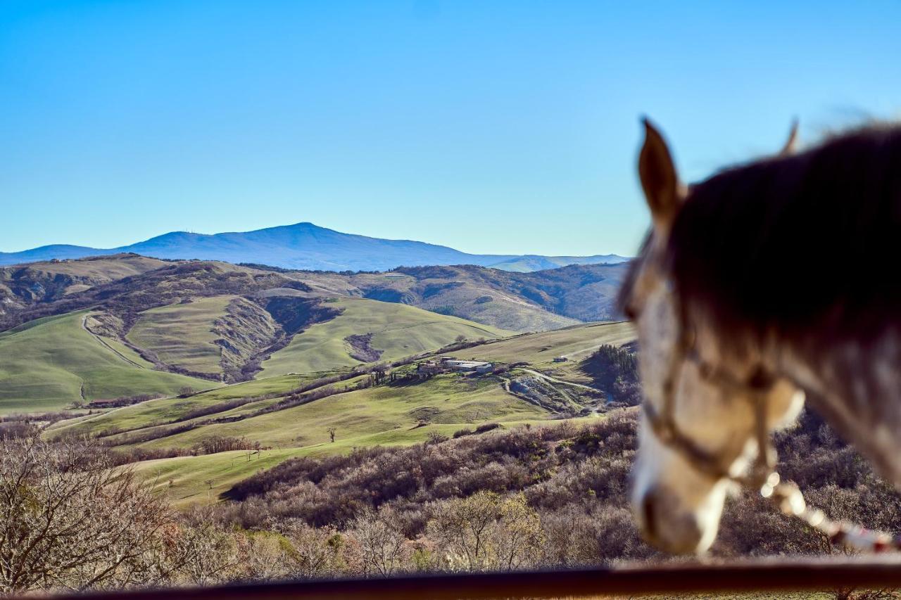 Az.Agr. Il Cavalleggero Campiglia dʼOrcia Exterior foto