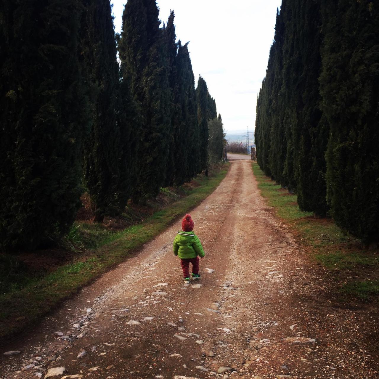 Az.Agr. Il Cavalleggero Campiglia dʼOrcia Exterior foto