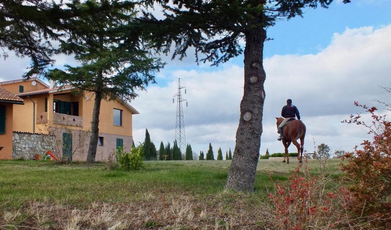 Az.Agr. Il Cavalleggero Campiglia dʼOrcia Exterior foto